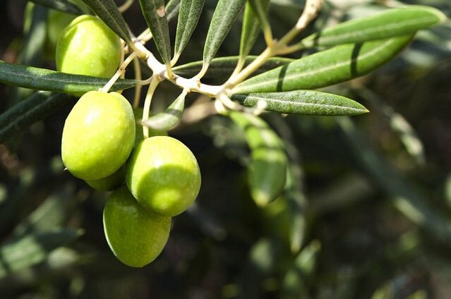 Beneficios de consumir aceitunas en una dieta cetogénica